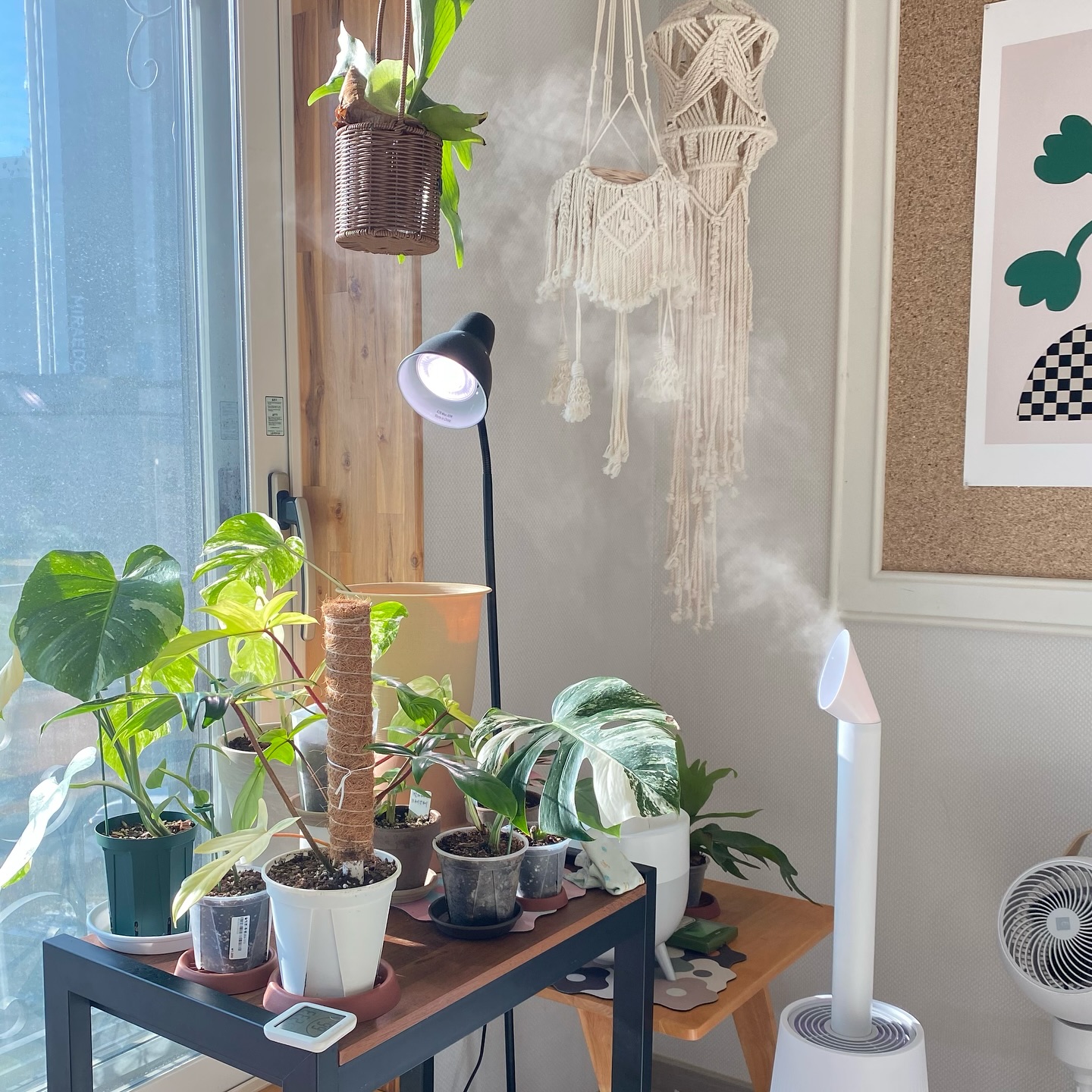 쬐끔? 많아진 지분…?🌱
ㅋㅋㅋㅋㅋㅋㅋㅋ
제발 서우야… 뜯지말자.. 밥줄께^^ 
얘네들 엄마꺼야…! 😡