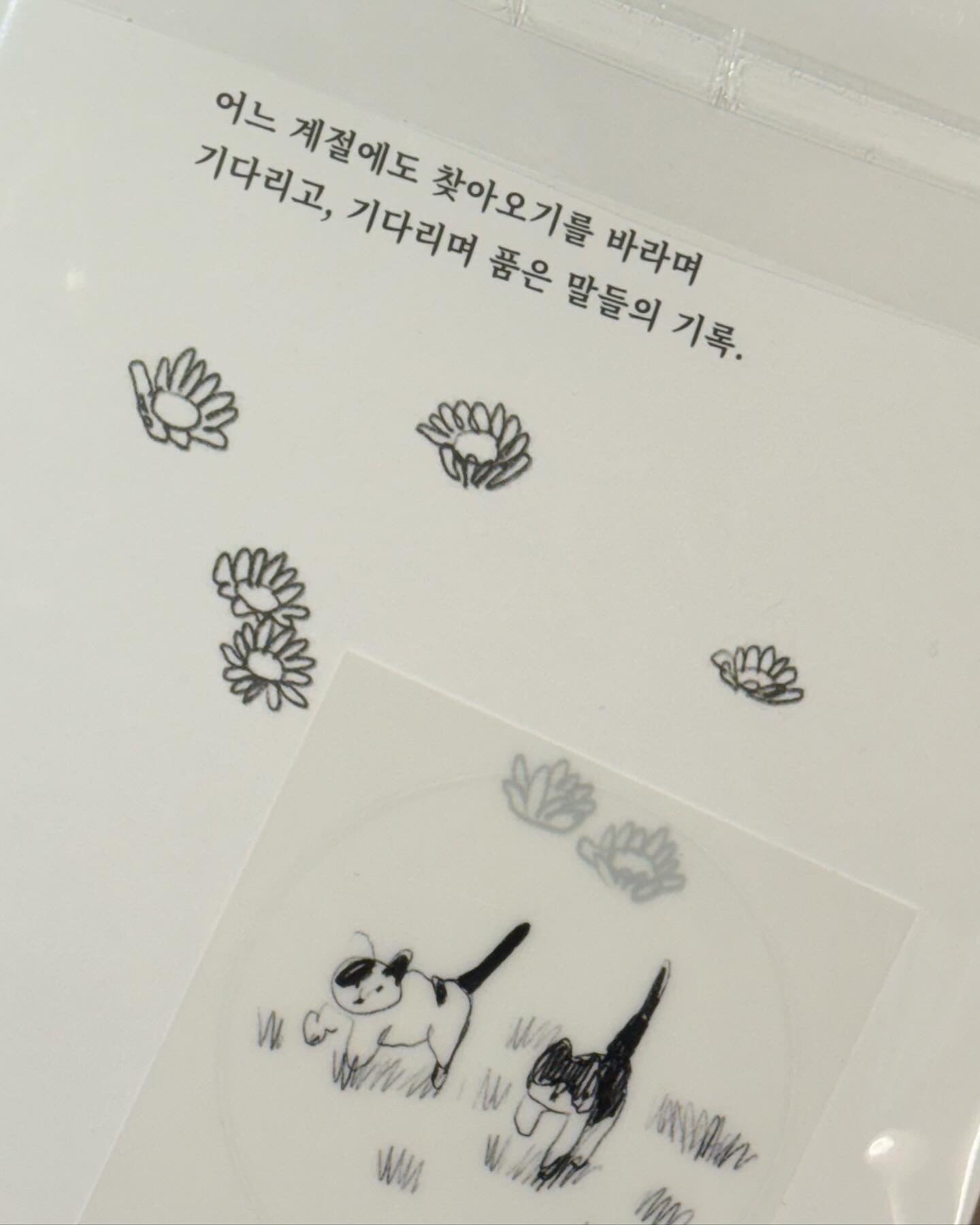 저는 이제 4살입니다
20살은 집에 놓고다녀요