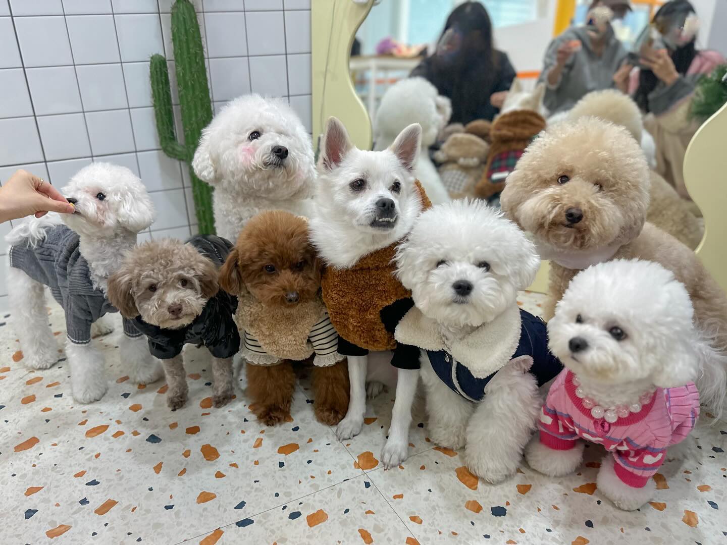 뀨
오늘 떼샷 난이도 ⭐️⭐️⭐️⭐️⭐️
