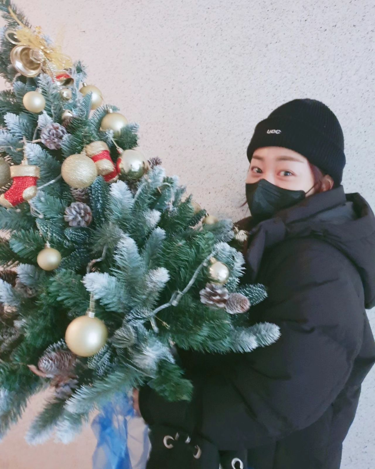 Merry Christmas🎄