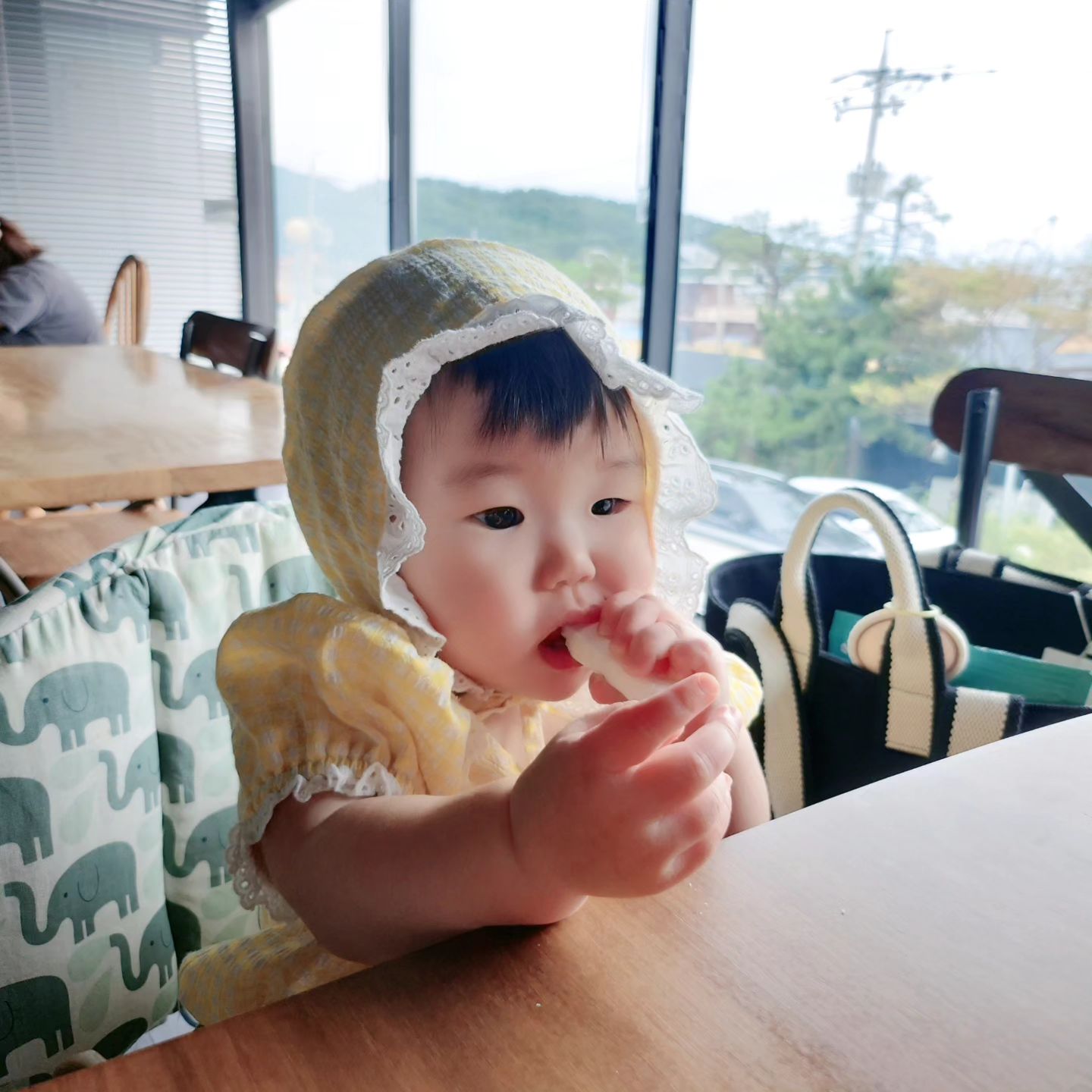 #따오니 랑 #일광 #브런치
우리 따오니 볼때마다 폭풍성장ㅎㅎ
이쁜 따오니엄빠들이랑 행복한 시간😊