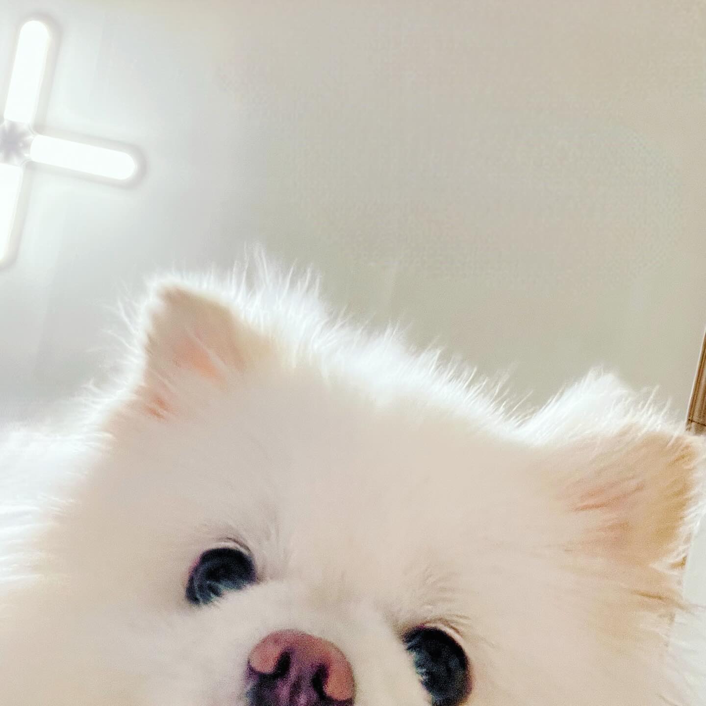 선생님 댁이 어디세요
