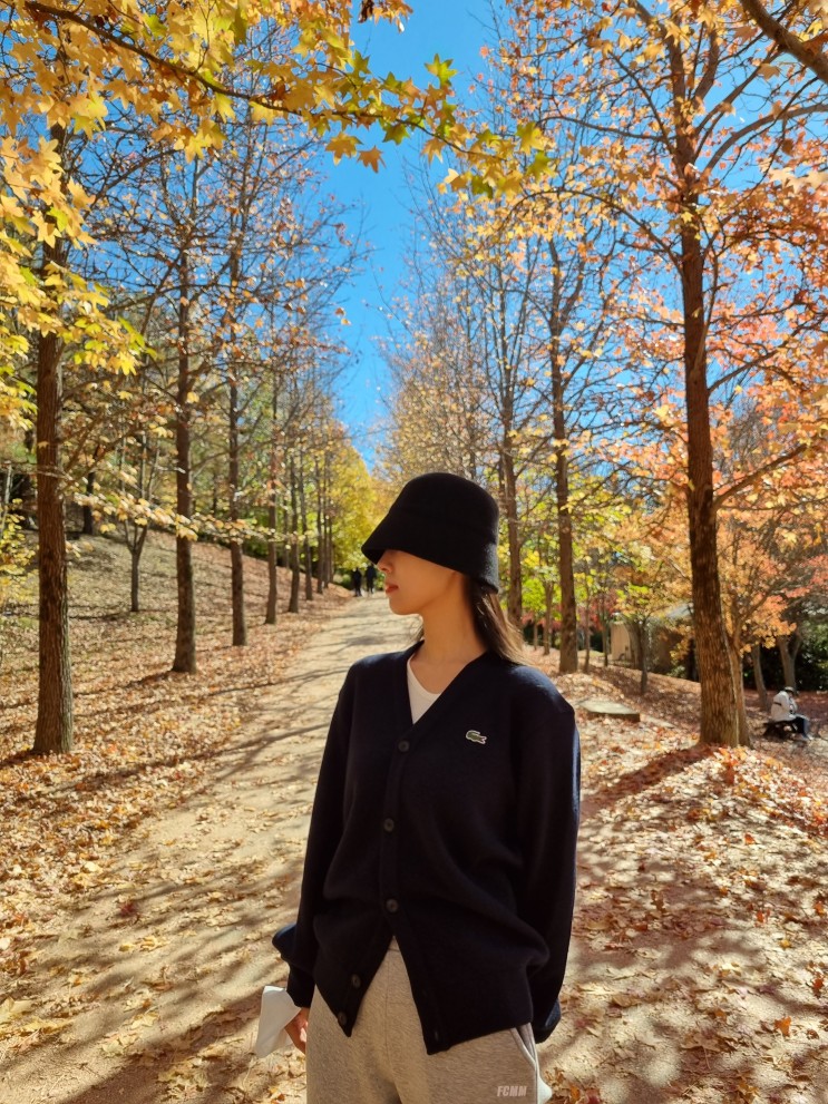 라코스테가디건, US M사이즈 남성복코너 가서 구매한 가디건 후기