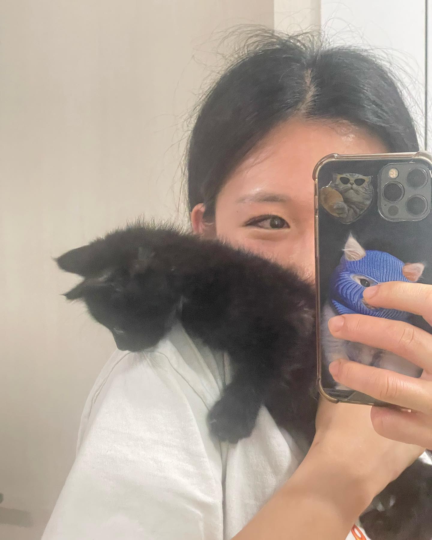 내 보물1호 강깜디🐈‍⬛🩶