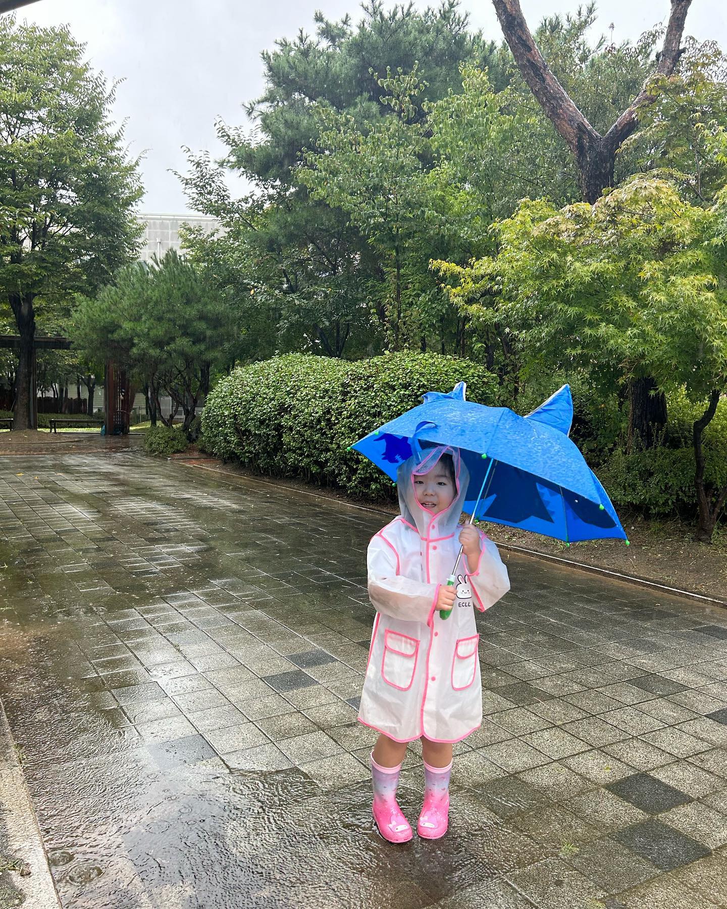 비오는 날은 무조건 첨!벙! 해야되는 양쥬
물에 가봐~ 하면 엄청 신나지😁
울 겸딩이🩷

#내미니미❤️
