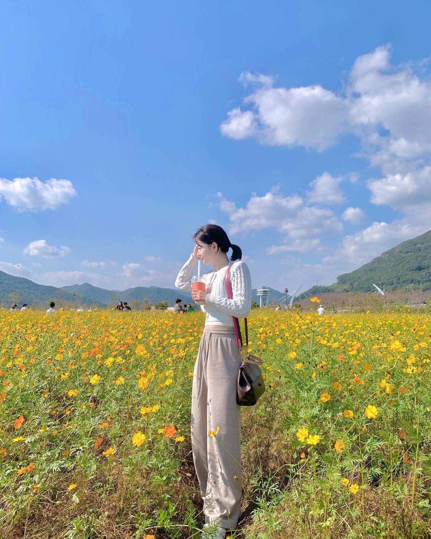 당신 요즘 사진찍는거 연구해??
parkhenrry 

고맙네 누가 꽃🌼이냐는 멘트도 
어김없이 해주고 ㅋㅋㅋㅋ 

이제 내 반응이 좀 썩었지만…
ㅋㅋ오늘은 날씨도 장소도 굿👍🏻

#주말일상 #무슨꽃이에요? #일상 #꽃밭에서 #양산 #황산공원 #가족나들이👪