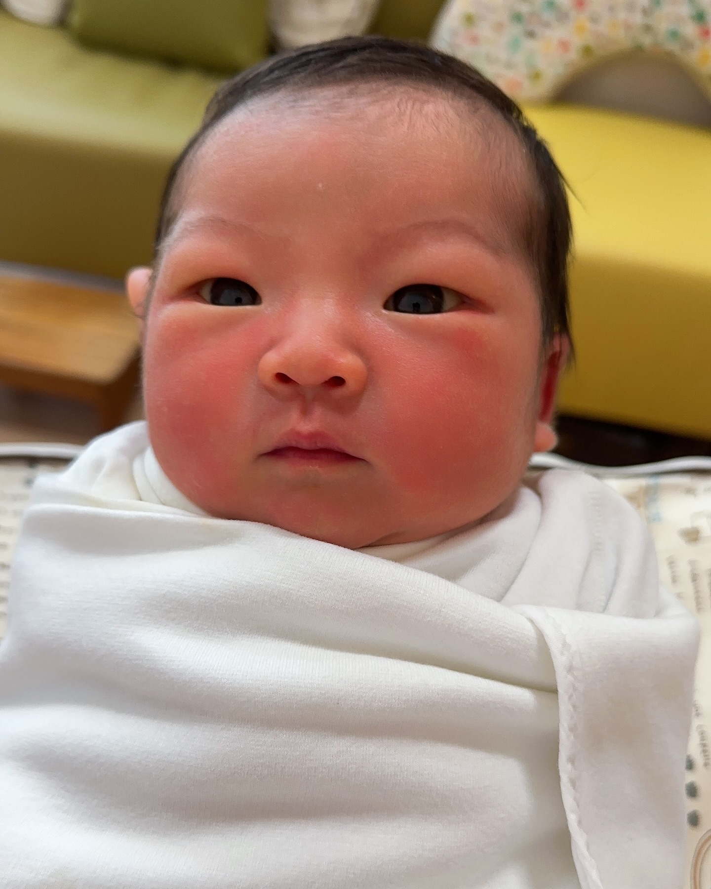띠 - 용
태어난 날부터 보석같은 눈을 똥그랗게 뜨고 있는 울애기🍼