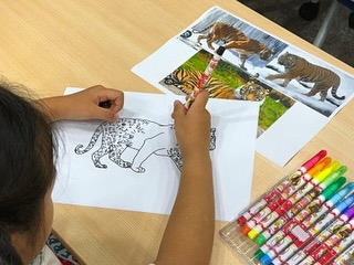 🎨한글로 그리는 멸종위기 동물들🎨

’숨탄것들‘의 진관우 작가님과 함께 진행된 한글로 동물 그리기

🖍숨+탄+것 = 생명을 가진 모든것들을 의미
🖍 한글로 동물을 표현한 작품
🖍 멸종위기 동물을 기억하기 위해 그림으로서 기록에 남긴답니다

특히 이번시간에는 시베리아호랑이로 그려보기!

🖍 환경부지정 멸종위기야생동물1급
🖍 호랑이를 지킨다는것 = 호랑이 먹이사슬 전체를 보호하는것

WWF(세계자연기금)에서 제시한 5가지 호랑이를 지키는 방법

1. 야생 호랑이 보호를 위한 정책 지원
2. 덫으로 인한 위협 막기
3. 야생 호랑이 불법 거래 중단
4. 호랑이 서식지 보호하기
5. 사라진 호랑이 복원하기

✔ 인기 작가님도 함께하는 환경교유교육센터 프로그램! 
더 많은 프로그램이 궁금하시다면, 중랑구 환경교육센터 블로그❤

블로그주소
https://m.blog.naver.com/PostView.naver?blogId=jn_eco_edu&logNo=223217683298&proxyReferer=https:%2F%2Fwww.jungnang.go.kr%2F&trackingCode=external

#중랑구환경교육센터 #중랑구환경교육센터온라인기자단 #2기온라인기자단 #국제호랑이의날 #멸종위기동물 #숨탄것들 #진관우작가님 #한글로그리는멸종위기동물들

​’본 포스팅은 제2기 중랑구 환경교육센터 온라인기자단 활동으로 소정의 원고료를 지급받아 작성되었습니다.‘