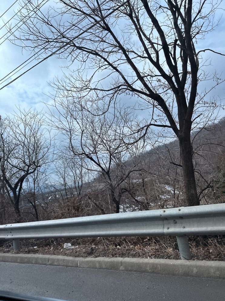 대구 1박2일 여행 (대구 가볼만한 곳,20대 여행, 커플 여행,동성로)