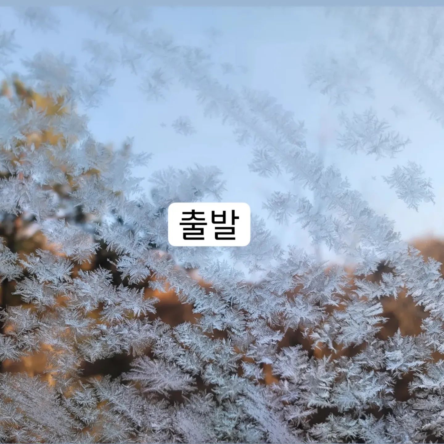 자세히 보아야 예쁘다