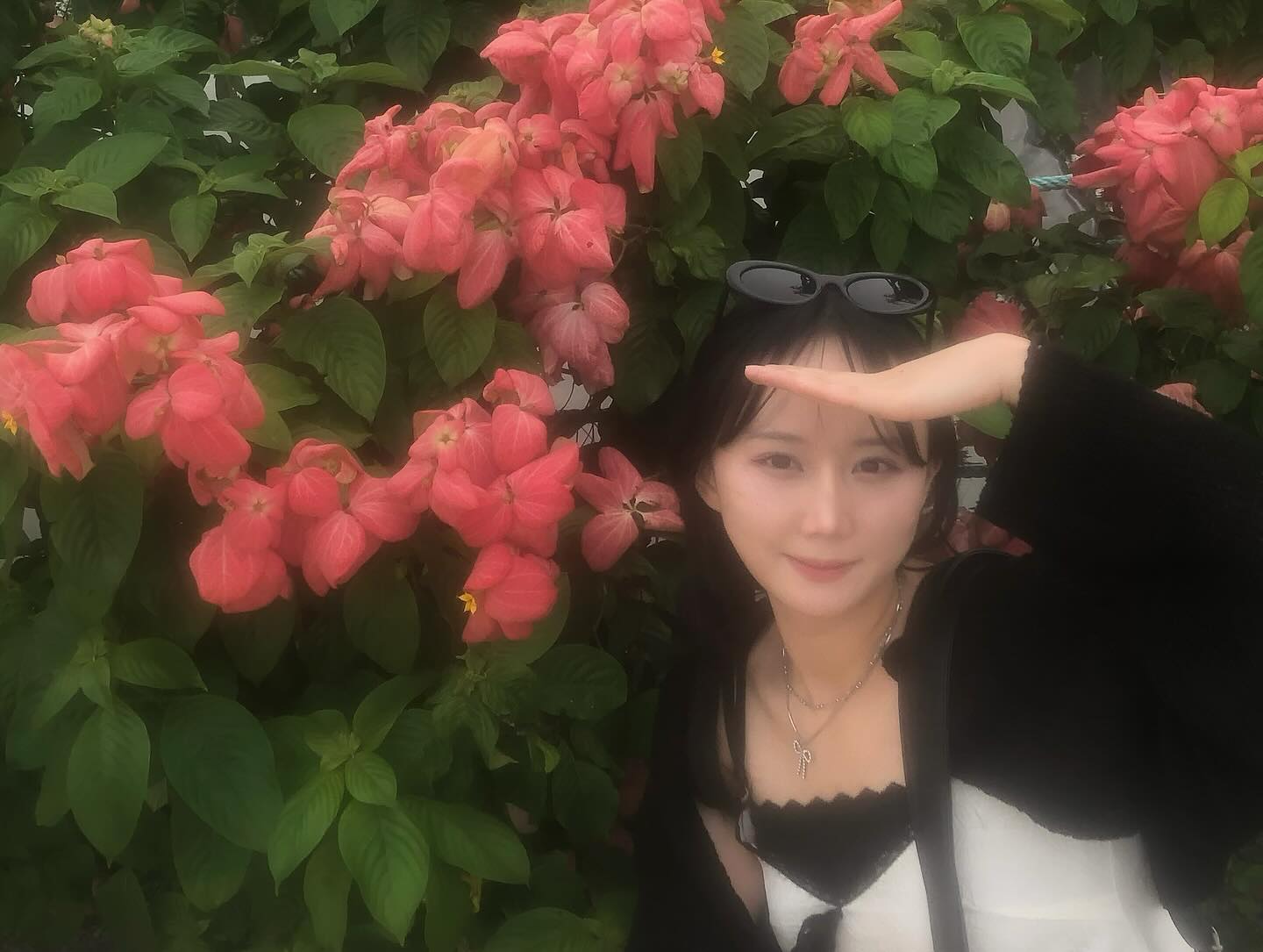 #호치민
