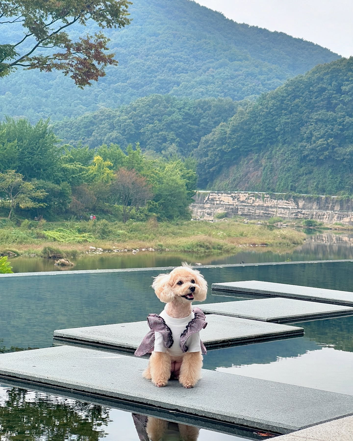In 콘크리트정글🌳