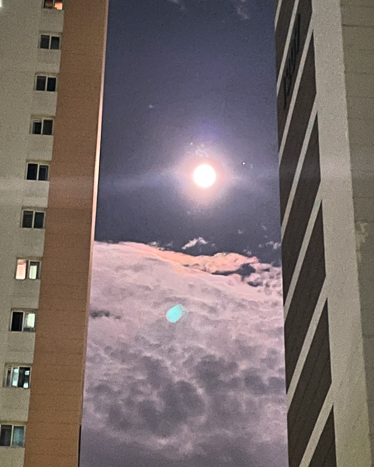 사랑하는 엄마랑 신랑이랑 아가들과 함께본
마법같던 보름달 🌕
부디부디 제소원을 들어주세요 🙏