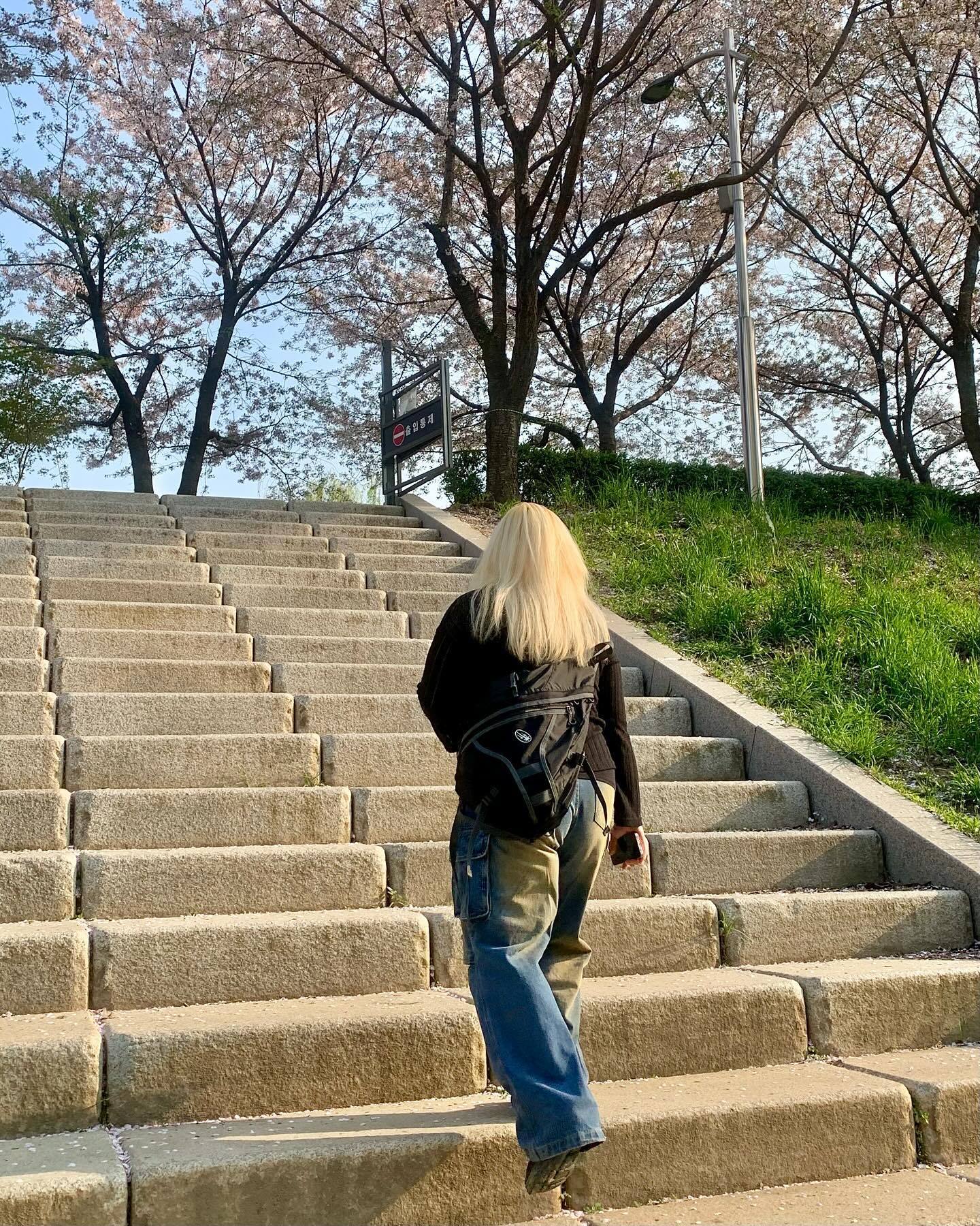 콘텐츠