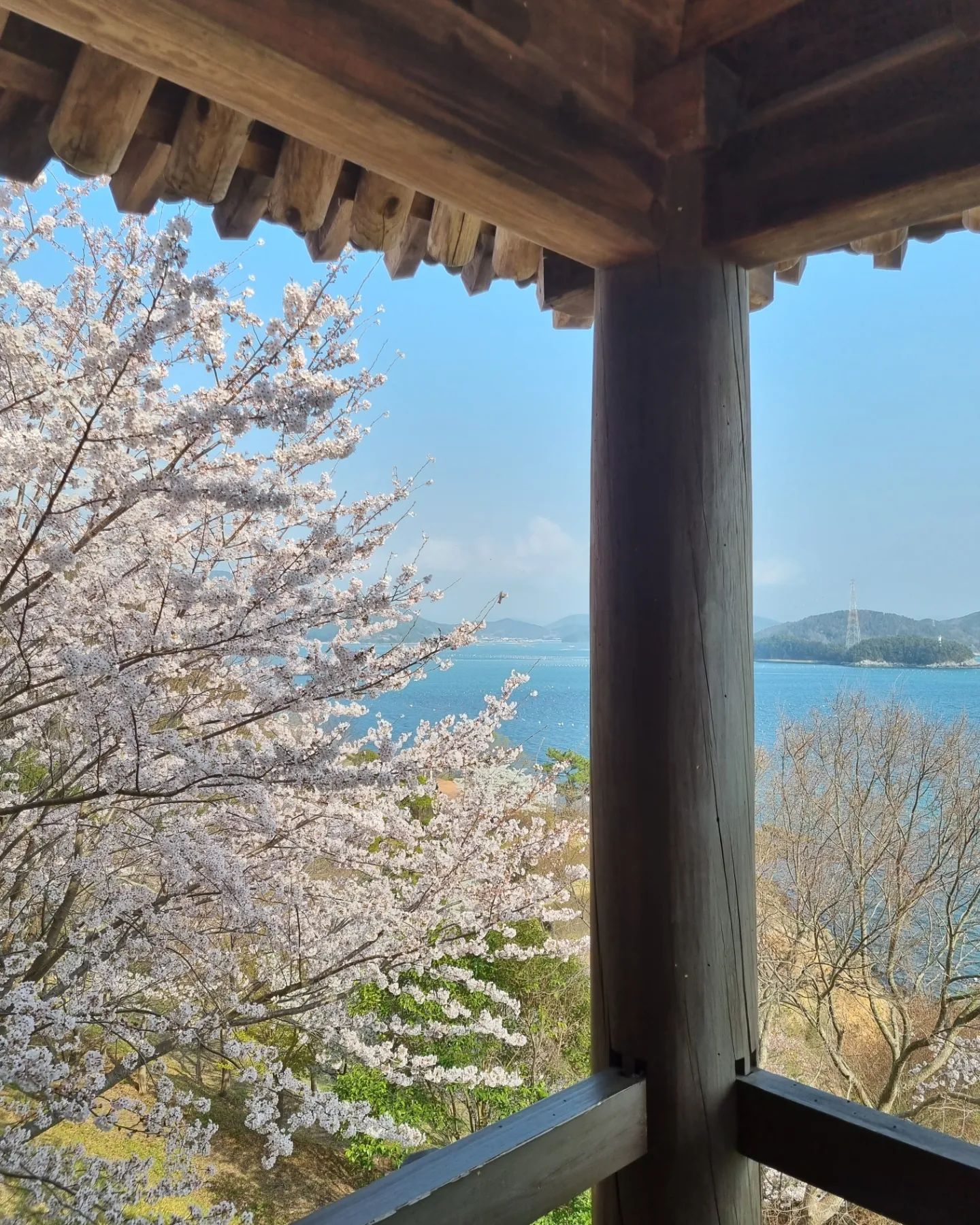 23.03.26 통영
.
.
.
살면서 혼자서 간 첫 여행🚃
다들 무슨 바람이 들어서 혼자 가냐며 걱정과 잔소리를 했지만 버킷리스트가 없는 나에게 딱 하나 있는 버킷리스트 완료! 요새 마음이 답답했던 탓에 혼자 아무 생각없이 헤드셋 끼고 돌아다니고 바다도 보고 싶었는데 바다도 원없이 보고 오고 이쁜 벚꽃도 보고 독서도 하고 왔지롱~ 새로운 경험 +1