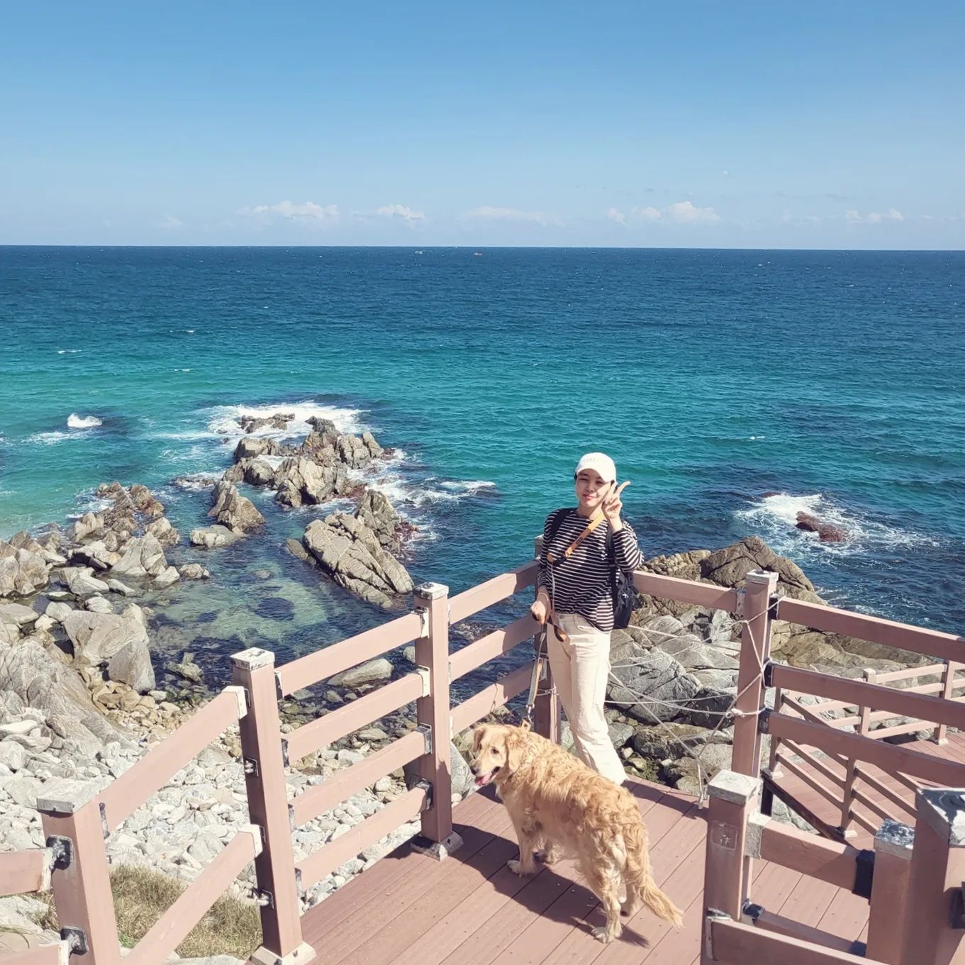 🌊💙2023년 추석연휴동안
동해바다 드라이브하면서 들렀던
#망양휴게소 바다당

#바다가좋아 #망양해수욕장 #동해안드라이브
#내가바다를많이좋아했네 #스트레스해소 짱!
#골든리트리버맘 #보리랑투샷 #서방사진의각도 😞🍂
#바람에모자가날아가버림 #장사리잊혀진영웅들 🙏💛
