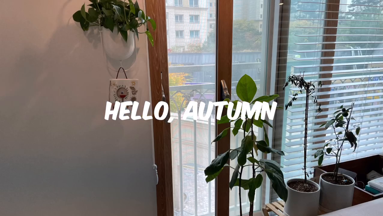 소파 커버 교체한 김에
찍어보는 우리집 구석구석🍁
(+극P의 바탕화면🤣)

#우리집가을🍂 
#이제겨울을준비할때