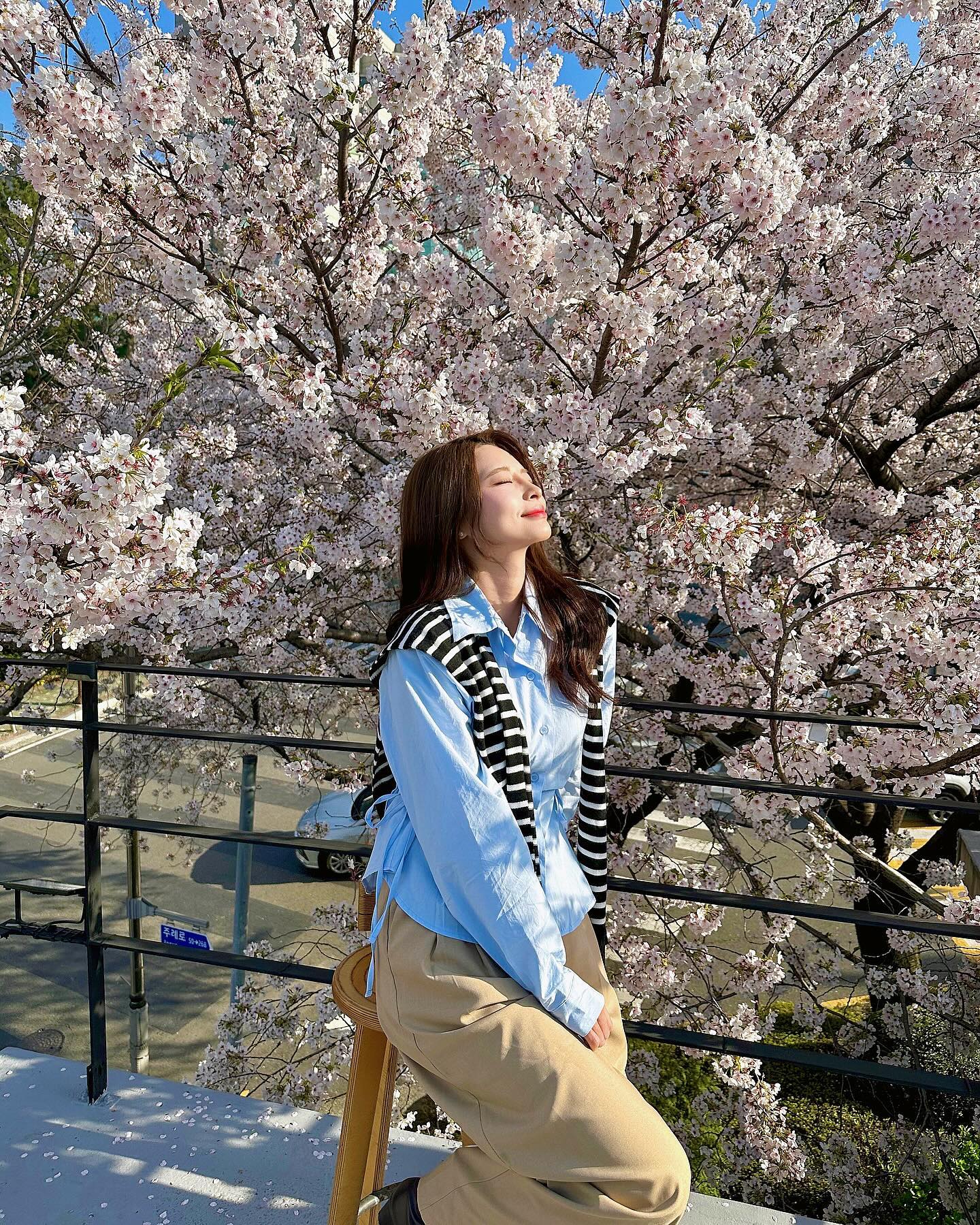 다른곳 꽃구경 또가야징 🌸🌸