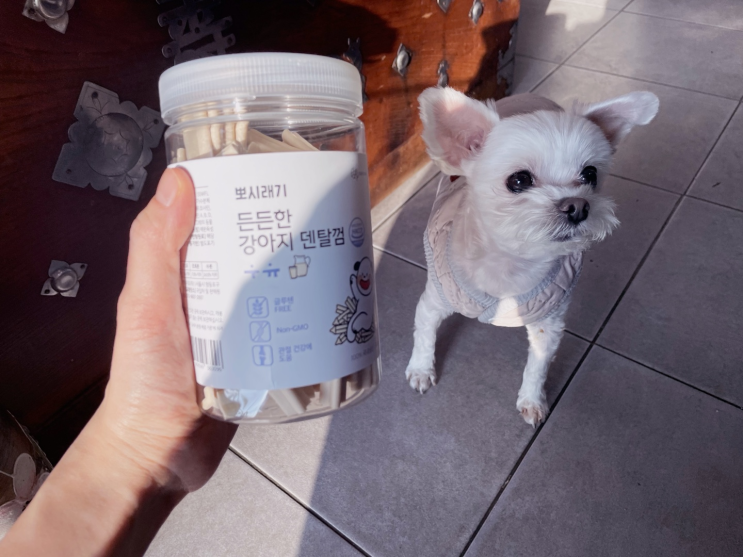 강아지간식 뽀시래기 개껌 대용량 간식으로 관절건강까지 챙기자