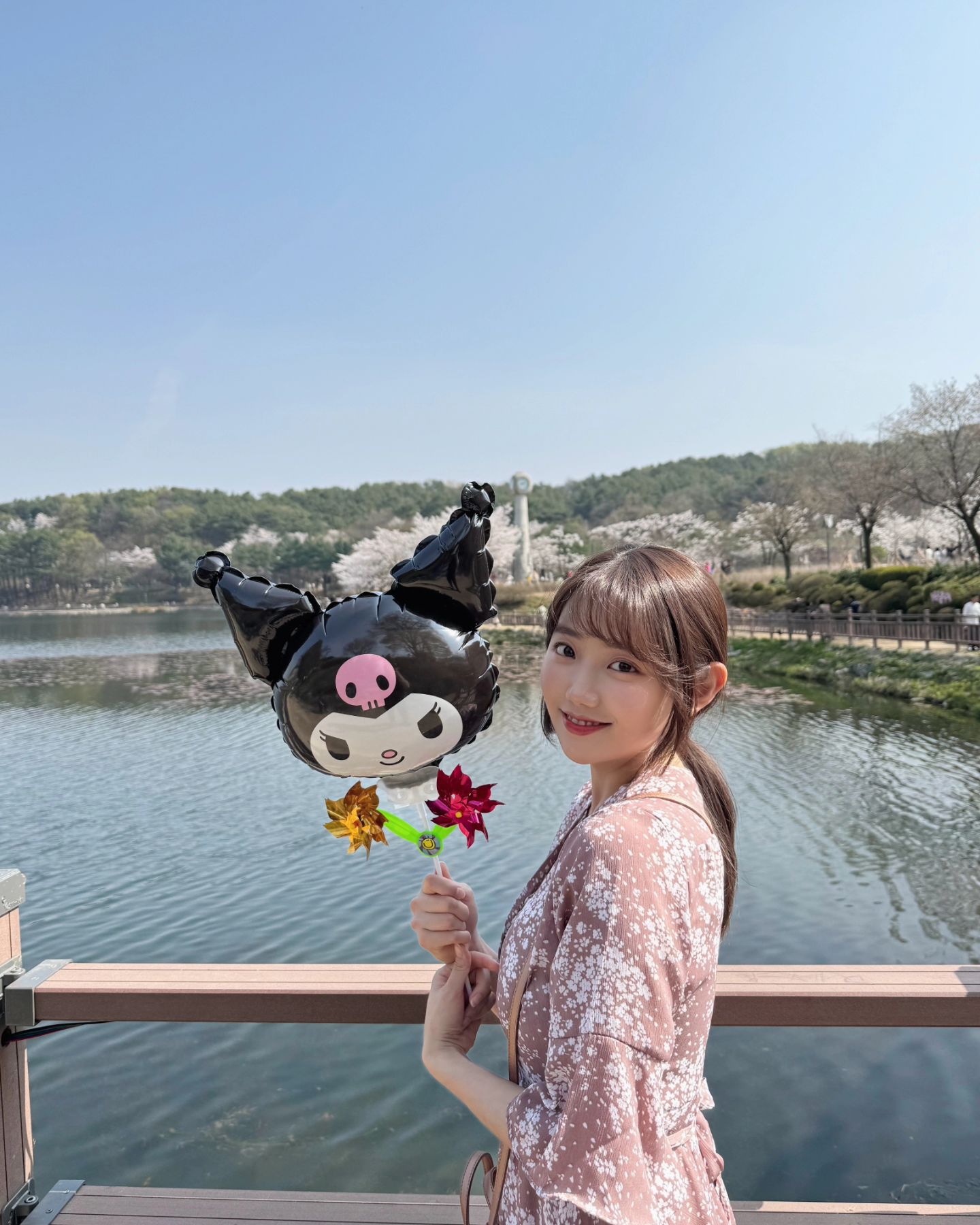 2024 설봉공원 벚꽃🌸🌸 +쿠로미💘