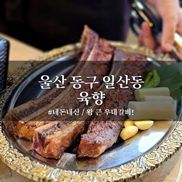 울산 동구 일산동 | 우대갈비 일산지 맛집 육향 가 봄 ( feat.회식 콜키지 )