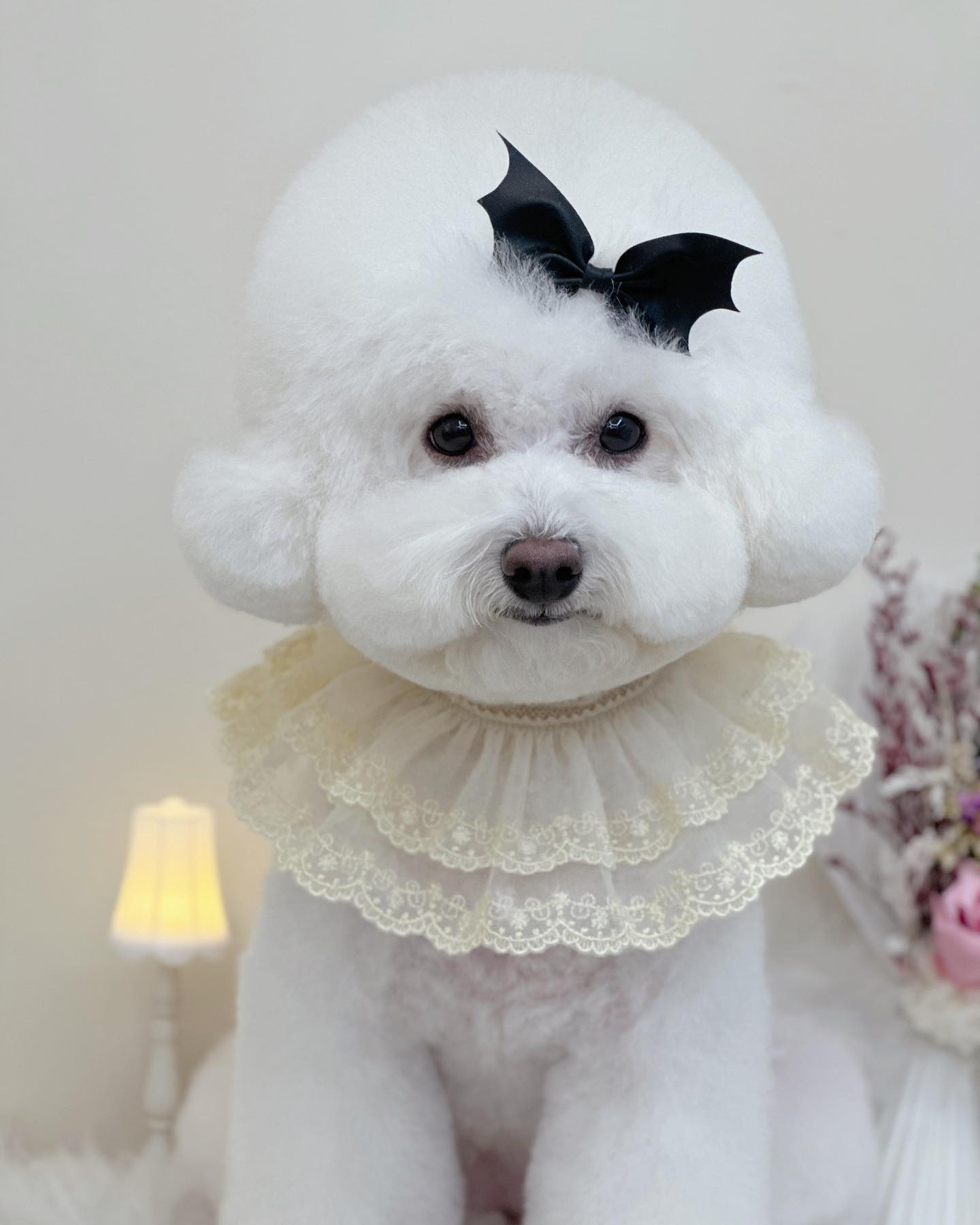 이소금 사랑해🖤