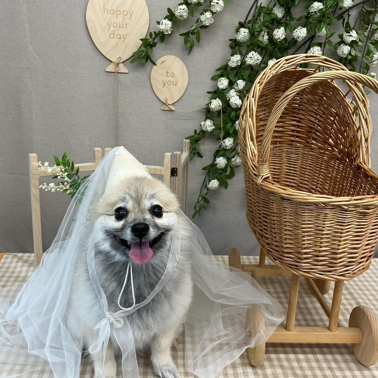 멍청이는 결혼 안된다