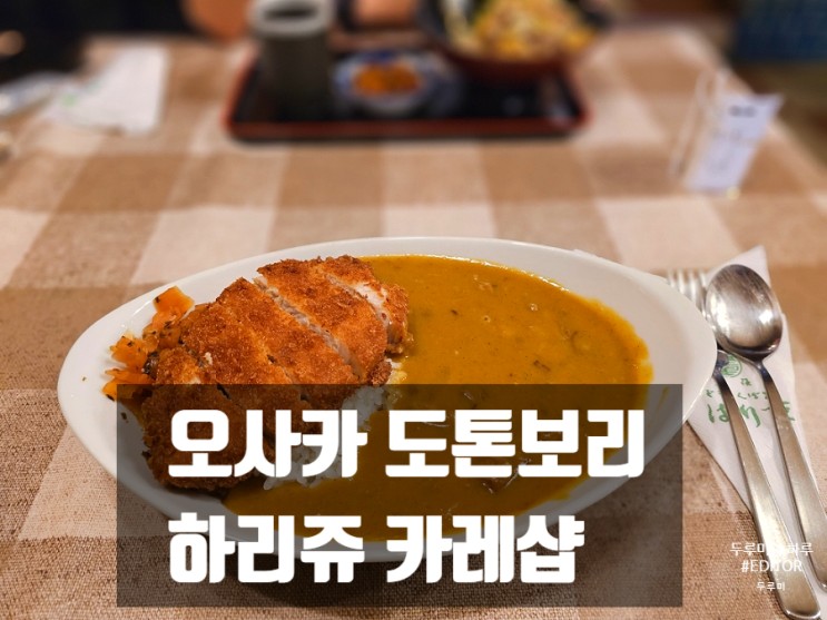 오사카여행 마지막날 : 하리쥬 카레숍 / 덴덴타운 피규어샵