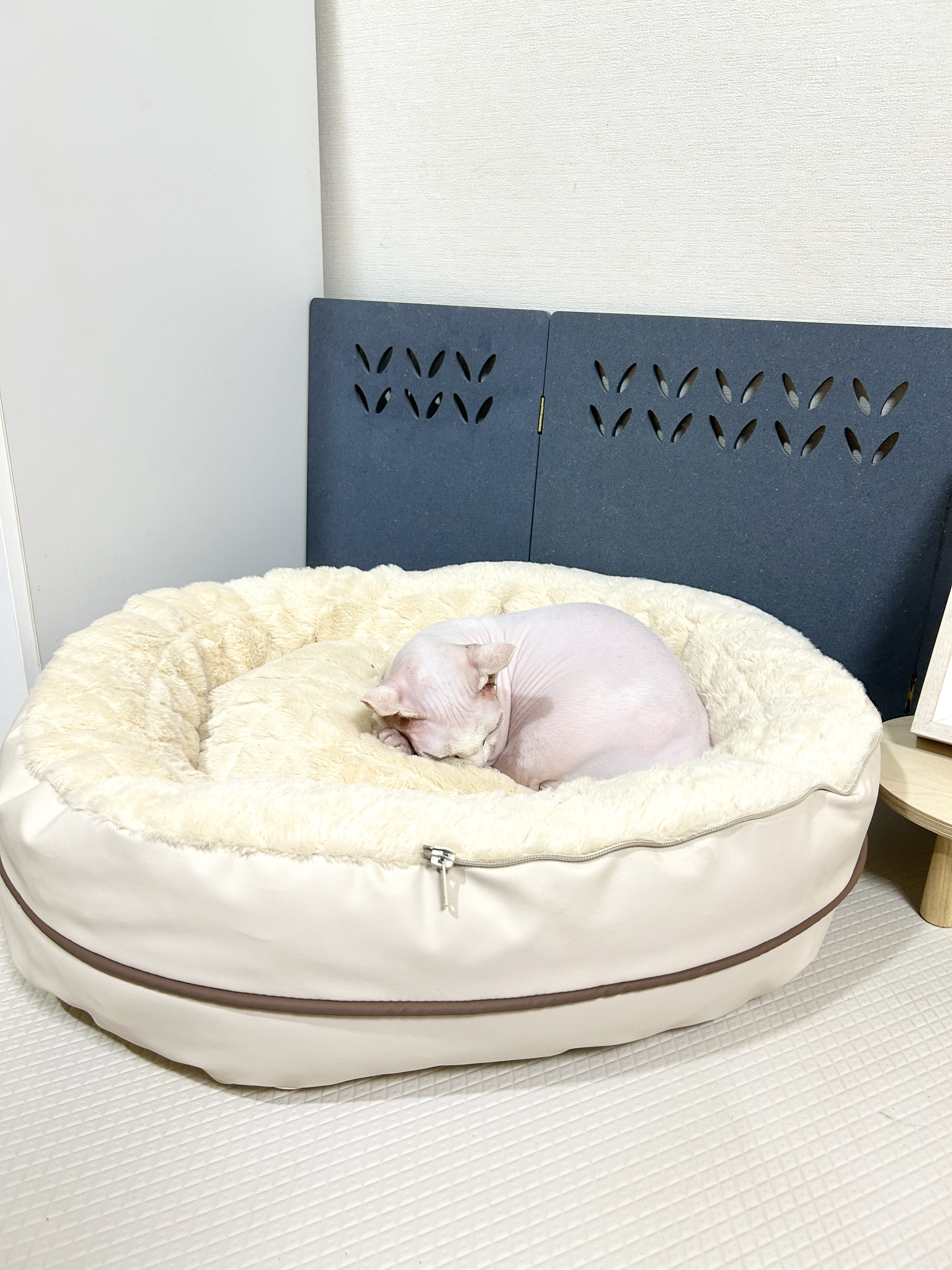 [Lap냥] Lap냥 강아지 방석 하우스