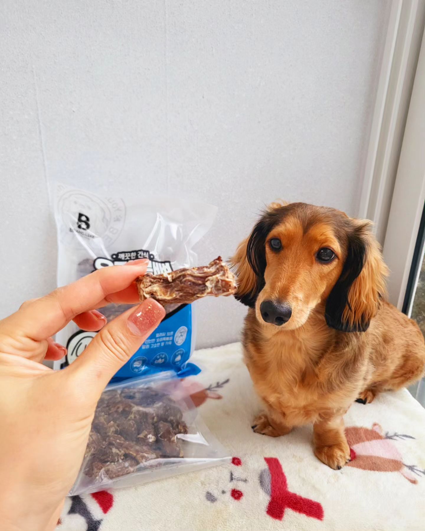 #협찬

우리 구월이가 좋아하는 #오리목뼈
하지만 아무거나 줄 수 없잖아요?

그래서 준비한 사람이 먹는 음식처럼 믿고 먹일 수 있는
깨끗한 간식, 빈즈라이크💕
beanslike_official

👉100%국내산 냉장 오리목뼈
👉국내산원료, 국내제조
👉수분, 품질을 조절한 이중건조공법
👉바삭한 식감에 고소한 맛
👉지퍼백소포장으로 위생적이기까지😍

우리 구월이도 먹어보더니 반해버렸어🥰

네이버스마트스토어, 쿠팡, 이마트에서 쉽게 구매가능
구월이랑 같이 맛있는 오리목뼈간식 먹어볼멍?

본 피드는 제품을 제공받아 체험 후 솔직하게 작성된리뷰입니다.
.
.
.
.
.
.
#댕댕이 #멍스타그램 #강아지간식 #강아지간식추천 #건조간식 #애견간식 #애견간식추천 #반려견간식 #반려견간식추천 #국내제조 #오리목뼈 #휴먼그레이드 #첨가물free #빈즈라이크 #다온피앤에프 #팻푸드 #깨끗한간식 #대형견간식 #강아지오래먹는간식 #개간식