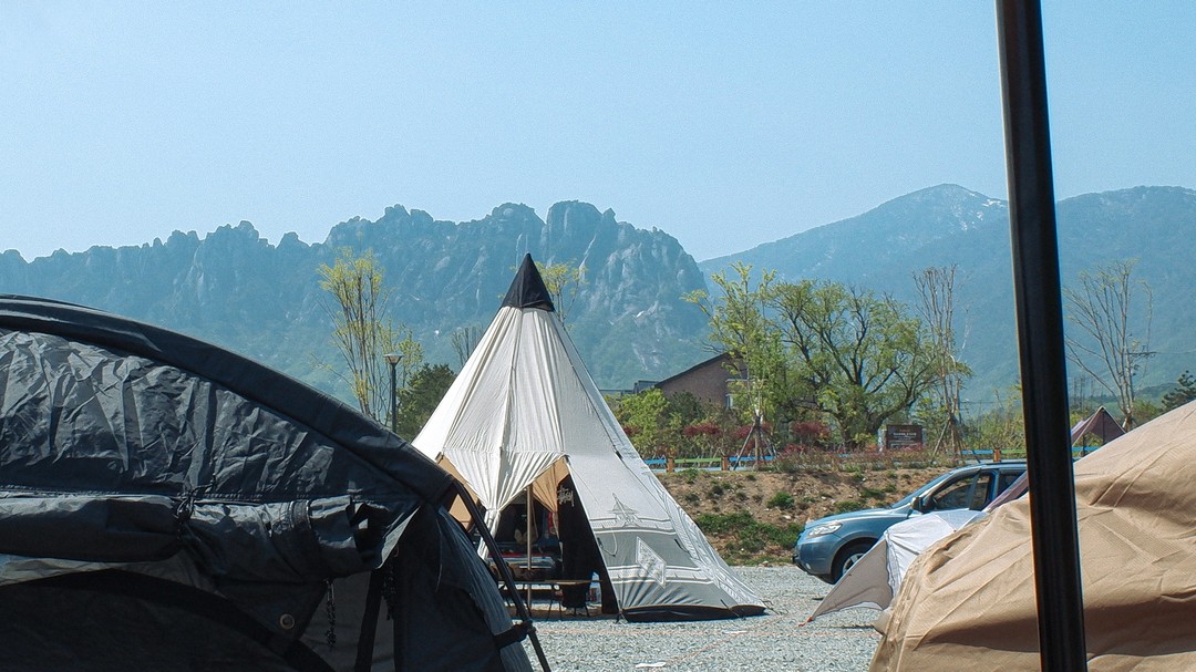 말랐다 젖었다 반건조 북어 체험 🏕️
#campinglife_naboori