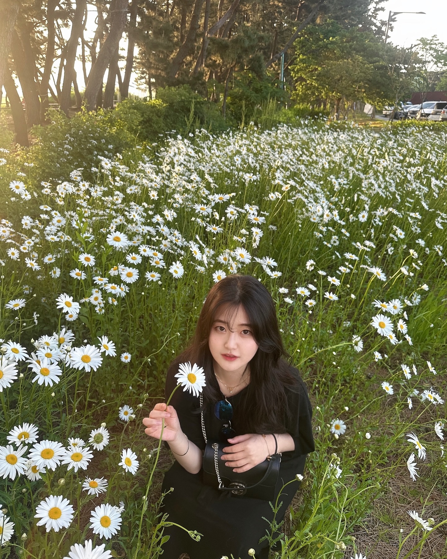 꽃구경 히힛