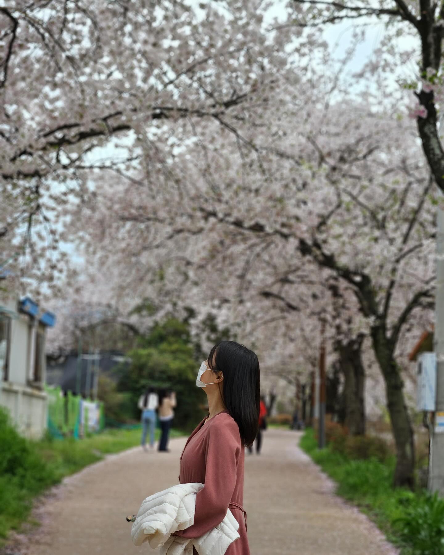 팝콘막차🌸
