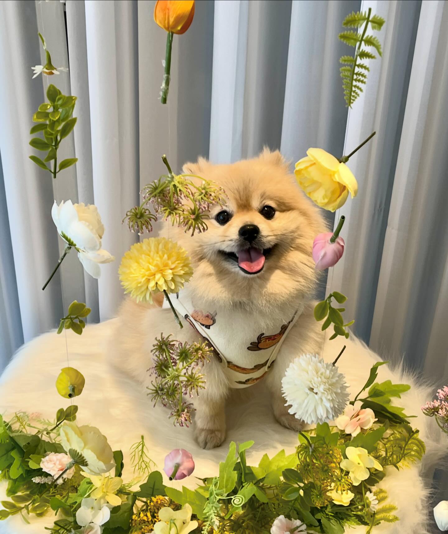 까까이모네 새로운 포토존🦦✨🩷