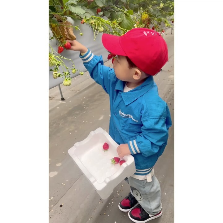 _
1-2. 비 내리는 날 #딸기농장 🍓🍓🍓
3. 같은 옷 입은 2023년의 딸기농장 설가든
4-6. 집에 와서 딸기 실컷 먹고 달달한 향 맡으며 #딸기잼 만들기
7. 어머님과 식사하고 다같이 영종도 키카로 출발 :)
8-10. 아빠랑 보물찾기도 하고 춤도 추고 세상 행복해보이는 어린이의 감출 수 없는 표정. 음료 사 먹고 이벤트에 참여했다가 2시간 이용권 걸려서 다음에 또 방문할 이유가 생겼다 ☺️ 
_
_
#주말 #어린이날 #티라노가족 🦖