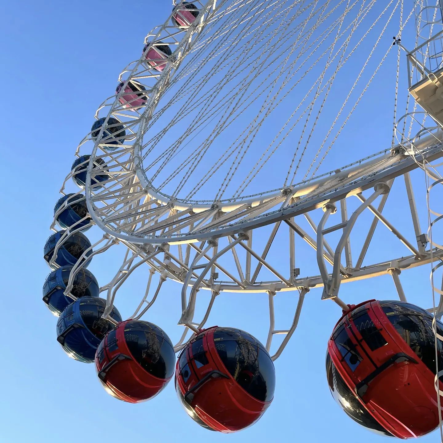 🎡 #속초아이 👀