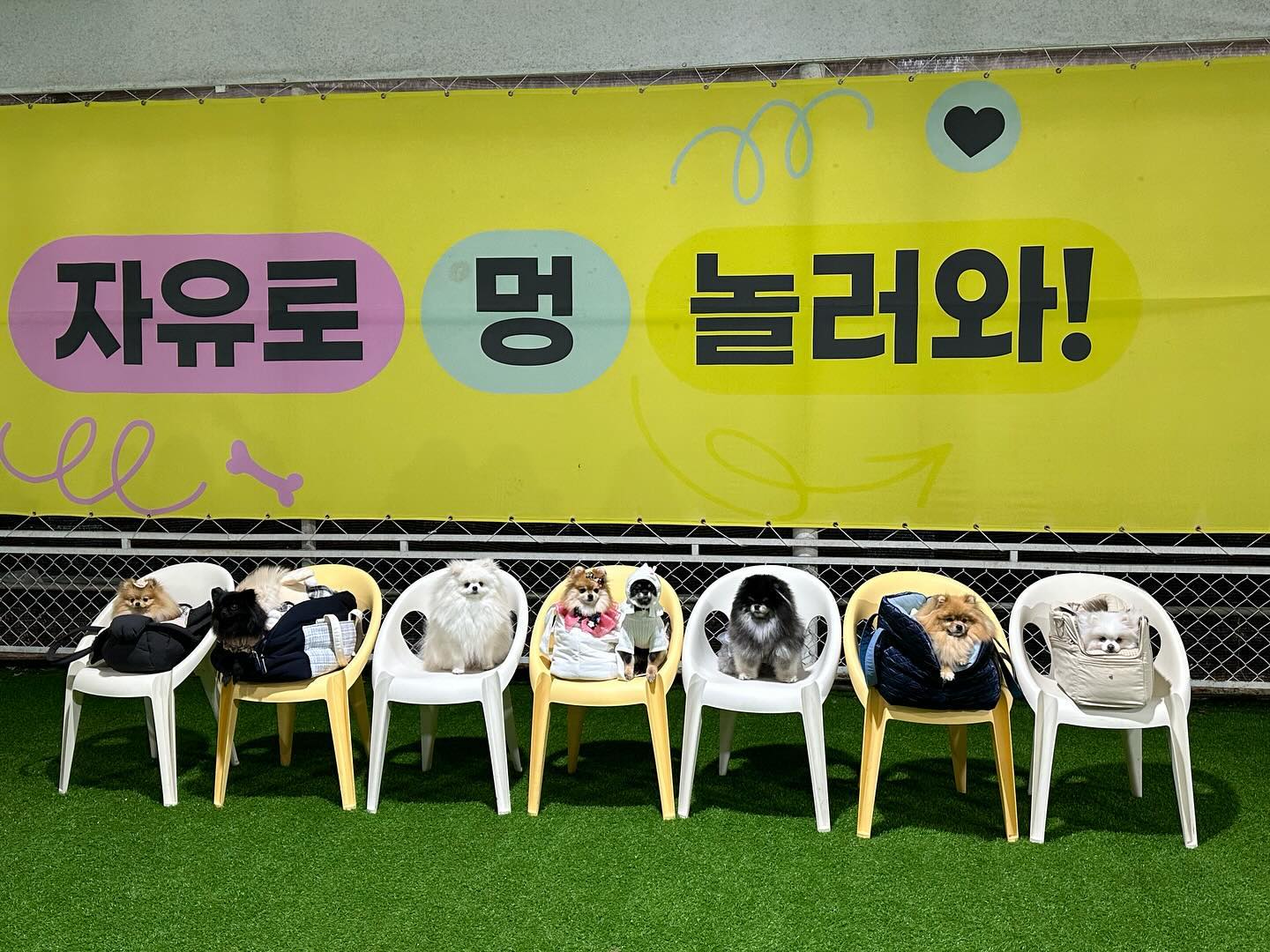 어제도 찡구들 만나서 애카 두탕 뛰구
밥먹고 뒷풀이 까지 알찬 하루여따 ❤️
벌써 연휴 마지막날이야 칭구둘 ㅠ.,ㅠ