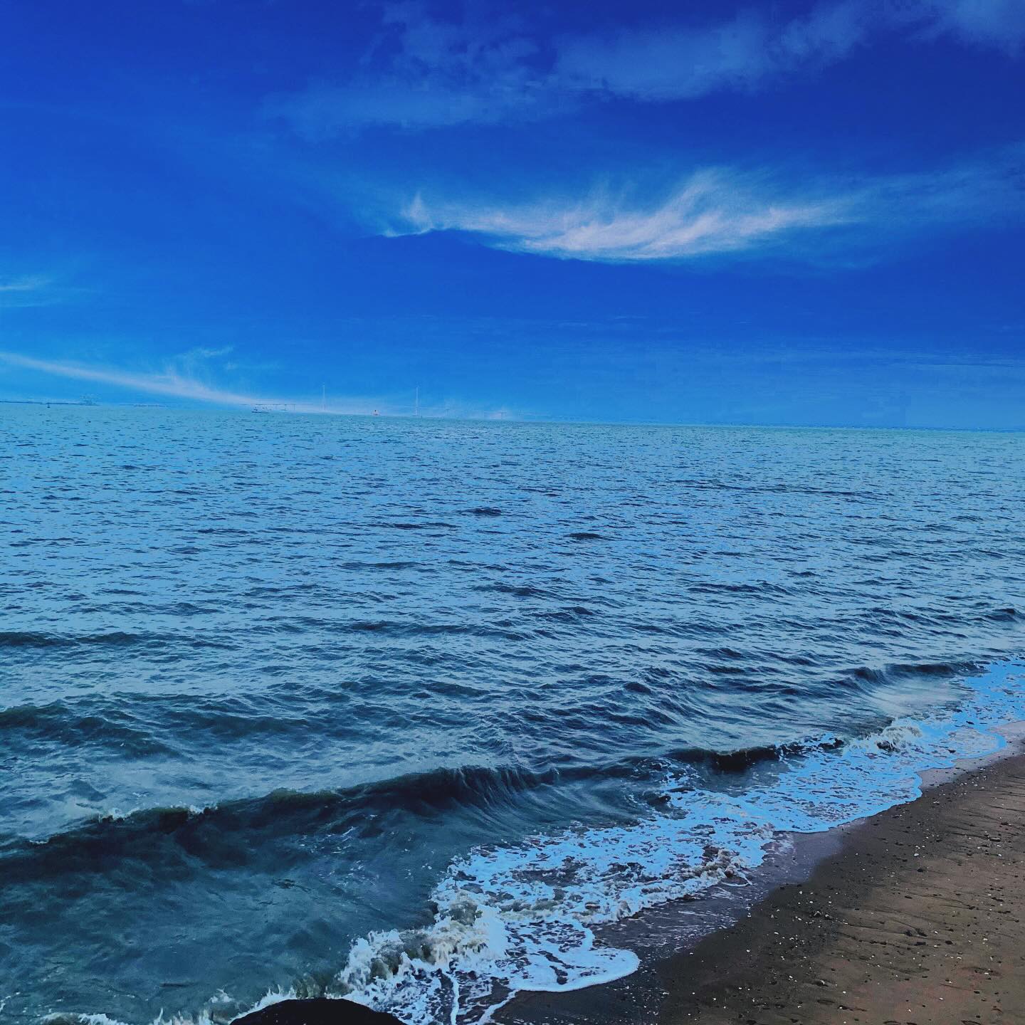 나는 바디 수집가#🌊 
.
.
#🏄🏻‍♀️ 는 못타도 구경은 할수있지#😎 
.
.
.
언제 바다 한번 가야하는뎅#🩵 #🐟 #😂