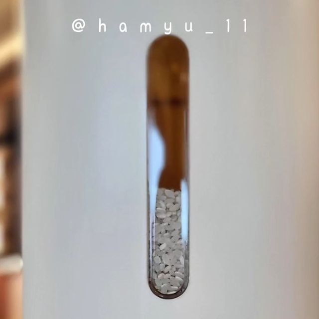 제주심심 ⋈ 홈스타일링 ⋈ 홈카페 ⨟ 제주여행 제주맛집 제주카페 제주숙소 ⨟ 육아맘 초등맘 ⨟ 제품소개 on Instagram: "#광고 #하뮤쌀통 . . 💁‍♀️ᩚ쌀 보관 어떻게 하고 계시나요? 저는