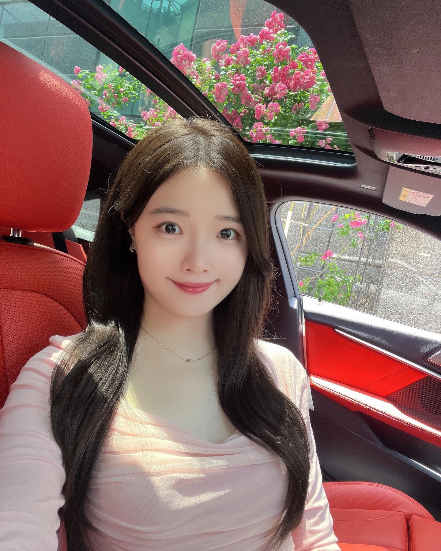 이름도 예쁜 안젤라 장미 💗
매년 이맘때쯤 지나가다가 차 멈춰 세우는 곳 .. 💕💕