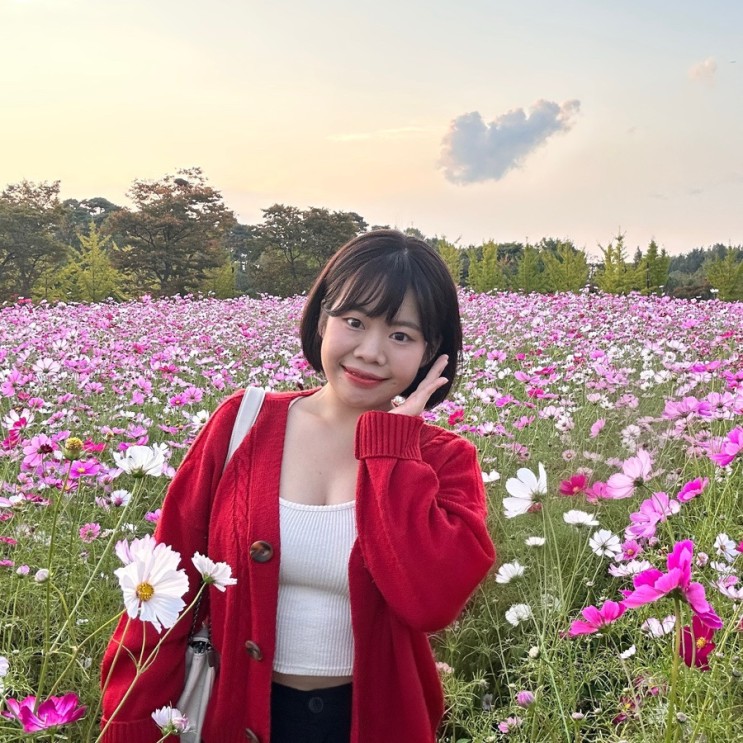 인천 드림파크 야생화단지 / 핑크뮬리 상태, 위치 , 주말 운영시간
