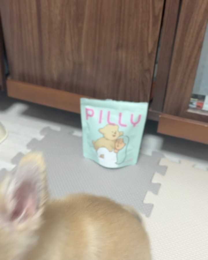 피부병으로 인해 눈, 발, 코 여기저기 털이 빠졌었다😥
#포메라니안 특성상 털을 짧게 깎는 것도 걱정 됐었다
그래서 #메이드인랩필리 영양제 샘플을 먹여봤는데 벌써 털이 다시 자라났다!

국내최초 연어콜라겐+알로에이뮨+락토페린이 함유된 영양제라 믿고 먹이는 중 ㅎㅎㅎ
효과만점인데 영영제를 간식처럼 먹는거 보니 아주 맛있나보다🩷
얼른 털 뿜뿜 찌자!!!!

#메이드인랩 #강아지피부영양제 #강아지피부 #강아지면역력 #강아지연어콜라겐 #강아지알로에겔 #강아지락토페린