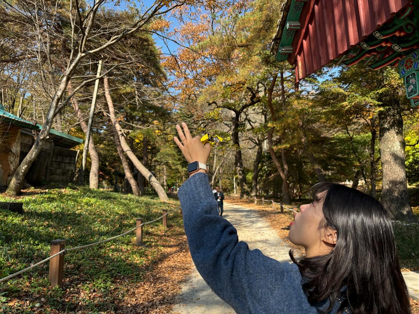 카페 가기전 시간이 남아서🍁
금산 보석사 구경

#금산 #보석사 #단풍 #은행나무 #가을 #단풍놀이 #ootd #럽스타그램 #데이트