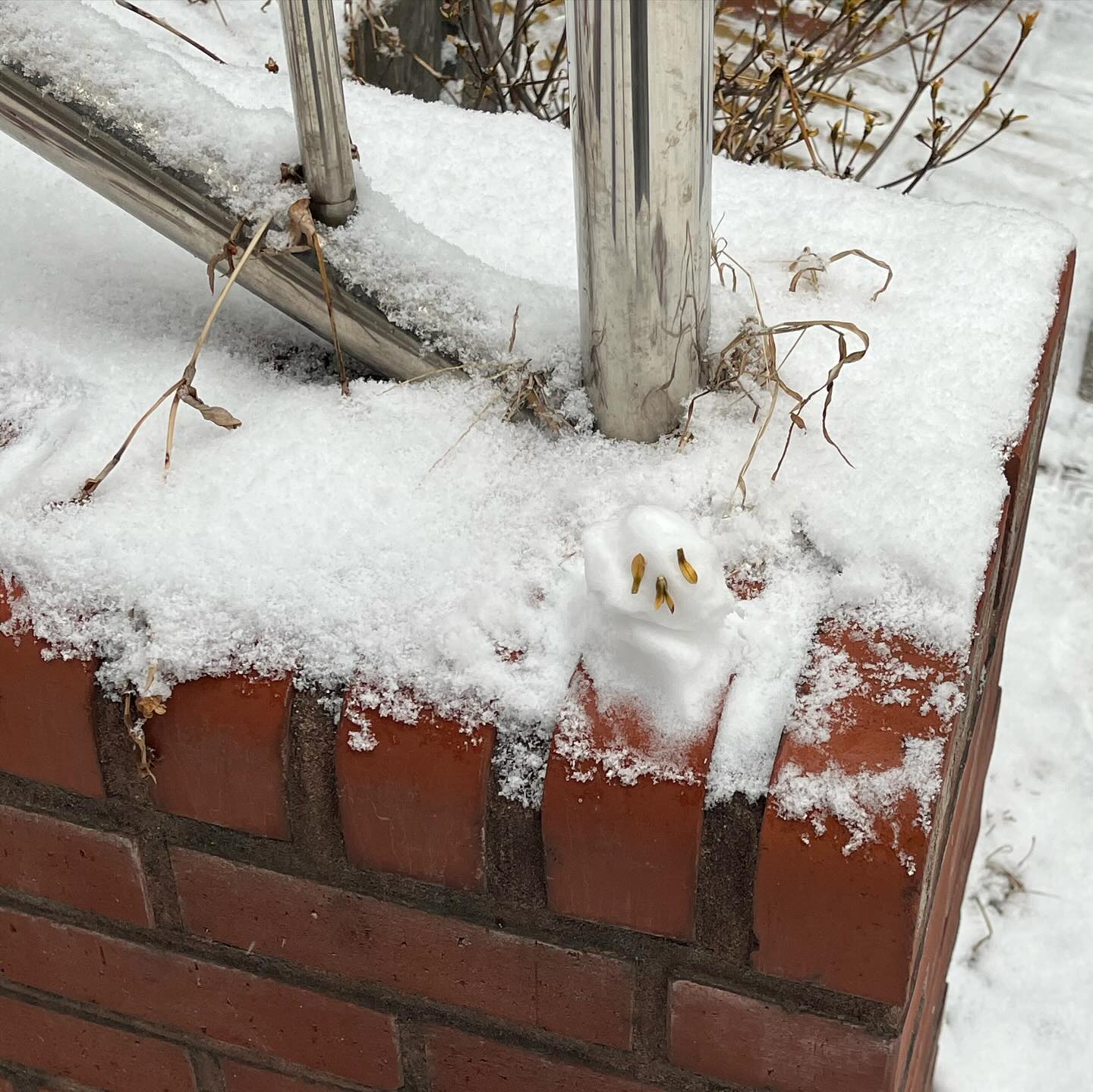 ☃️

겨울을 즐겨보아요

☃️

내만눈 … 내가 만든 눈사람이라는 뜻 …