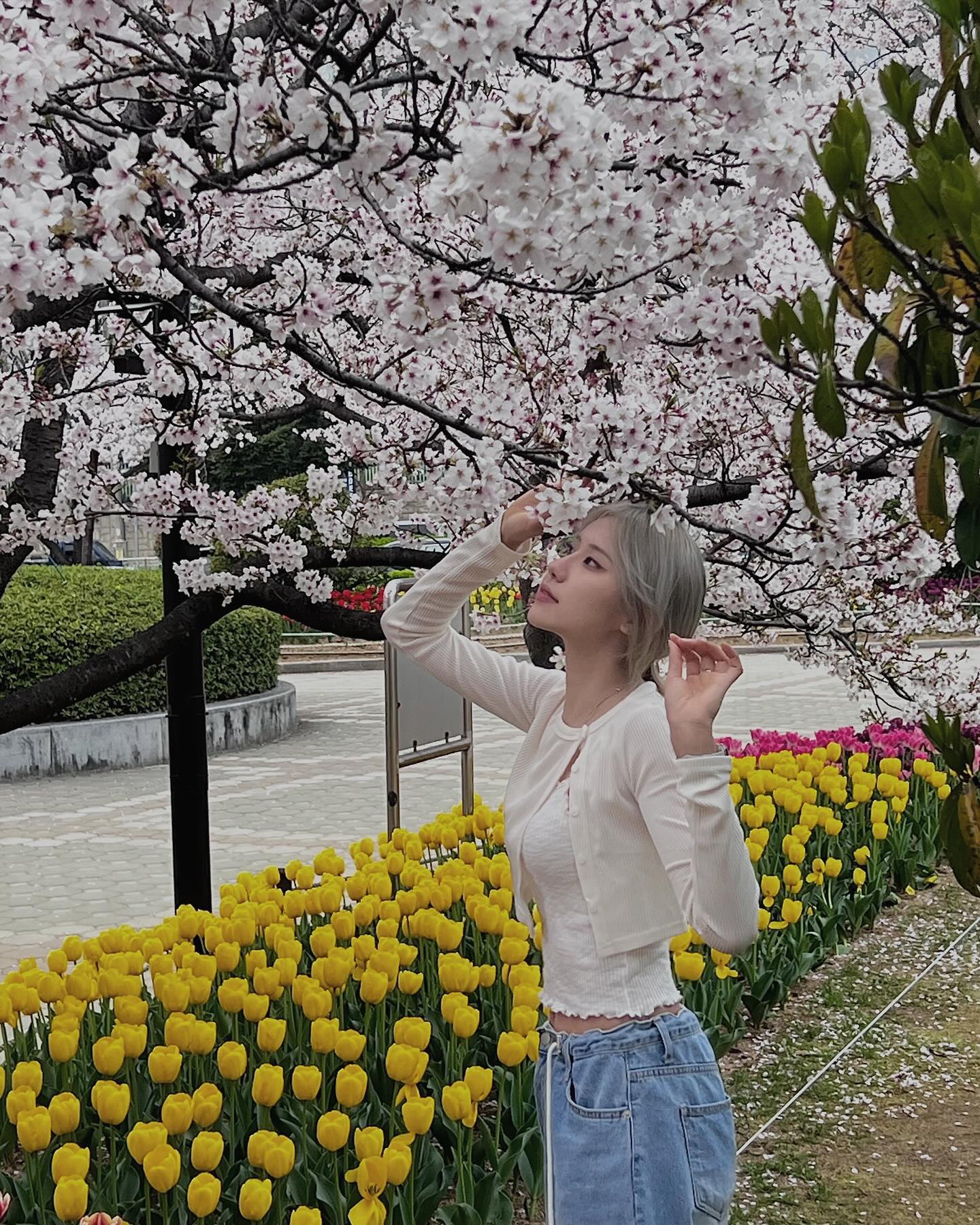 🌸🎞️🌸