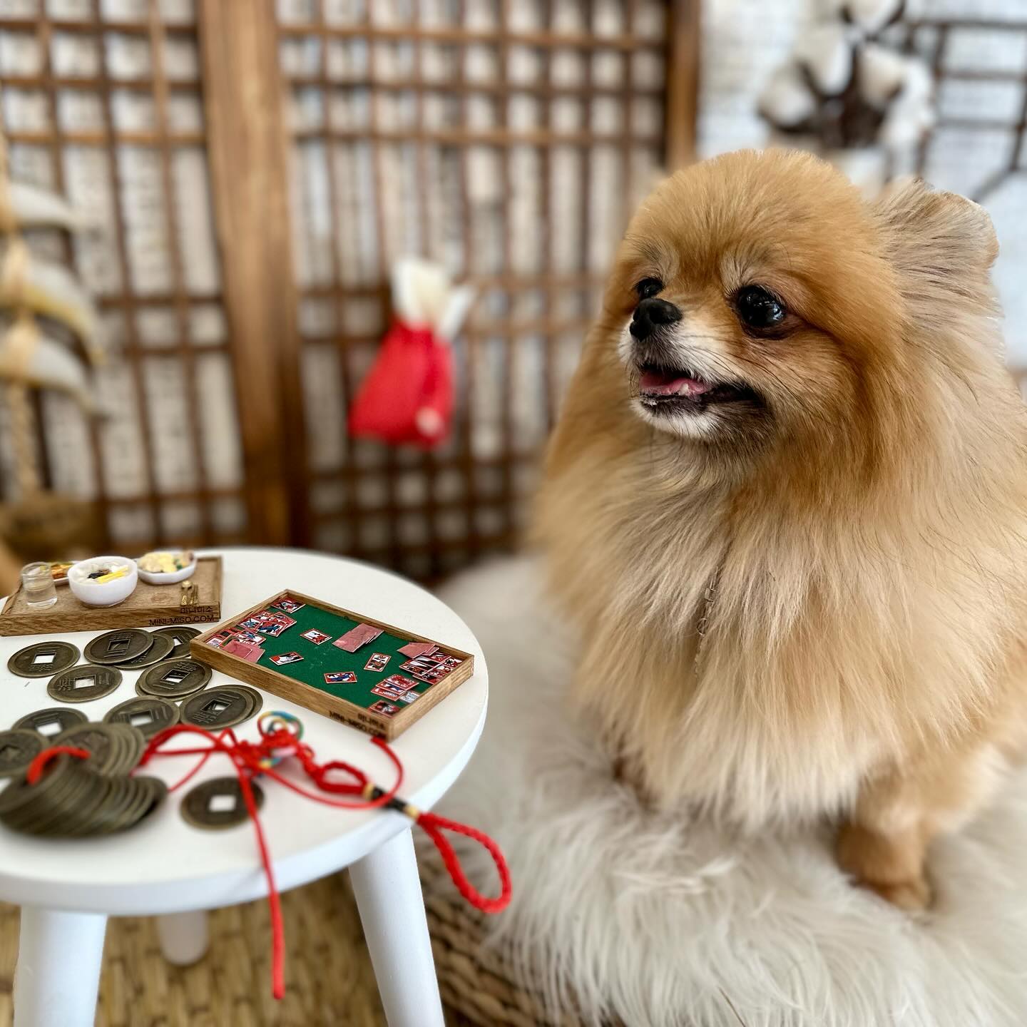 쩜당 다섯냥!! ^^