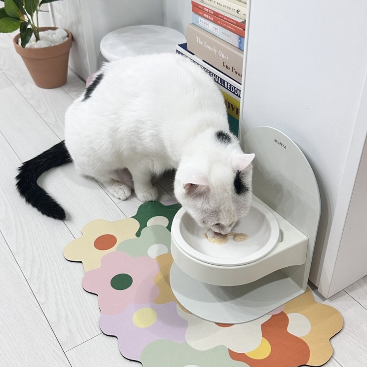 가티가티 예쁜 고양이식기매트 추천해요!