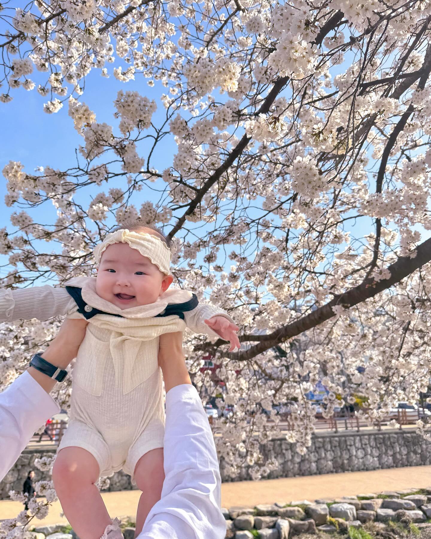 D+221ꯁ240401

우리 서여니 첫 벚꽃🌸🌸
봄되니깐 산책도 많이 다니고 너무 좋다👶🏻

#4월 #벚꽃 #7개월아기