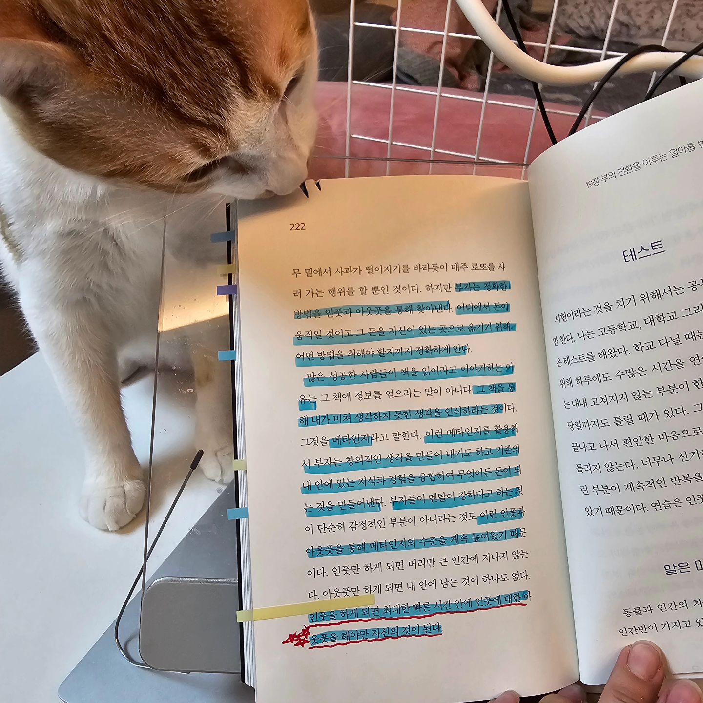 먹는거 아니야...

#힘찬이