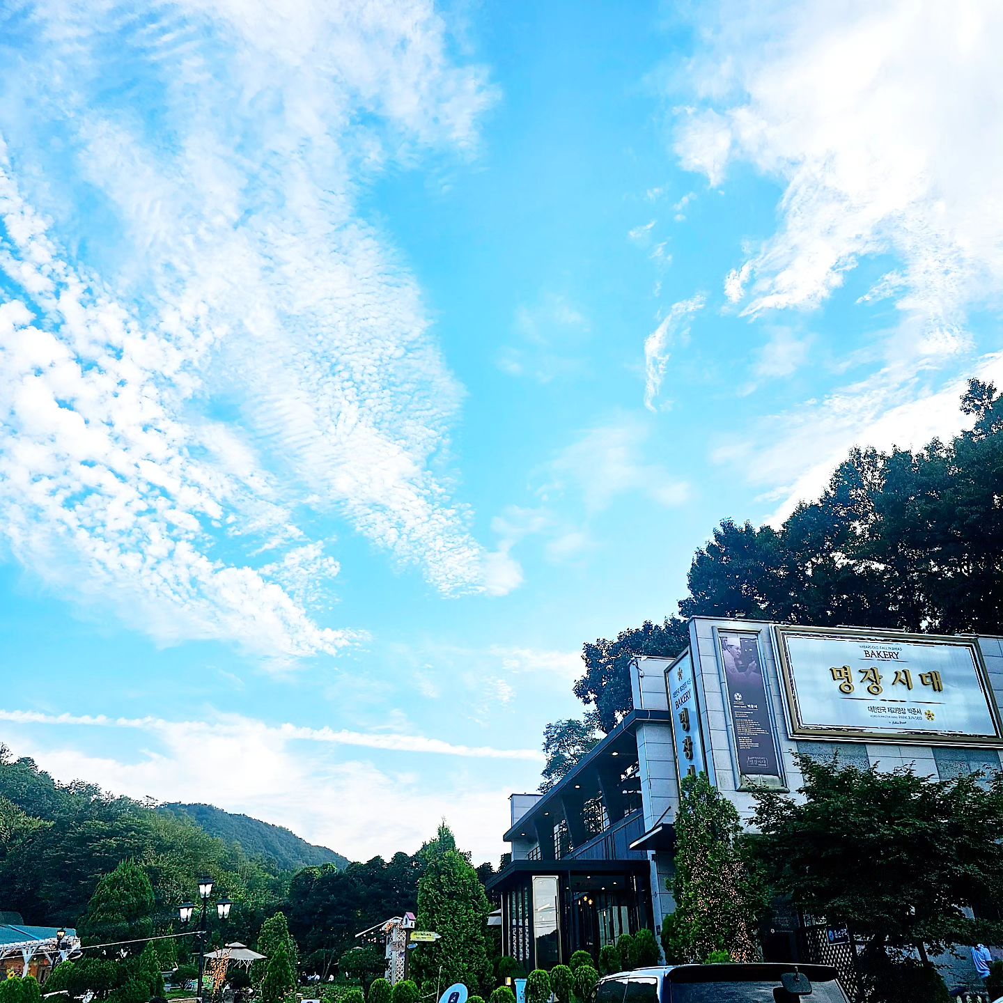 #내돈내산 #명장시대 
집에서 가까운 광명..
지나가다 늘 저길 한번 가야지..
말만하다가 빵 맛 없다길래
있는거 알면서도 안가다가
갑자기 꽂혀서 들어감ㅋ
솔직히 빵종류가 많은건
아니었지만 취향에 맞게
골라 먹으면 될듯ㅋㅋ
갠적으로 구매한 빵 모두
맛나게 잘 먹음ㅋㅋ 
또 먹고 싶고 생각나는건
#크림치즈통밀 😍
시간날때 뭉이 데리고 
또 다녀와야디~~😚

#빵집추천 #빵스타그램 
#오늘아님주의 ❤️‍🔥
